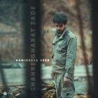 آهنگ حمیدرضا آیین به نام شهر غارت زده