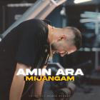 آهنگ امین آرا به نام میجنگم