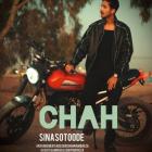 آهنگ سینا ستوده به نام چاه